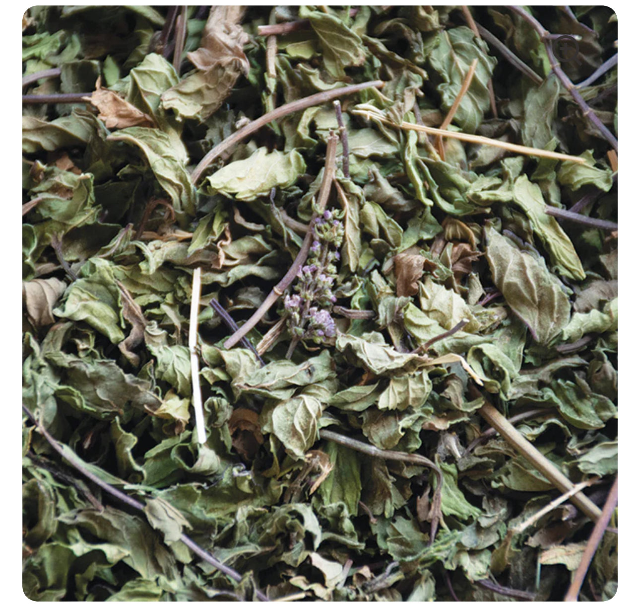 Equal Exchange Organic Spearmint Tea | for Hormonal Imbalance and PCOS | 20 Tea Bags; Exp 08/2027