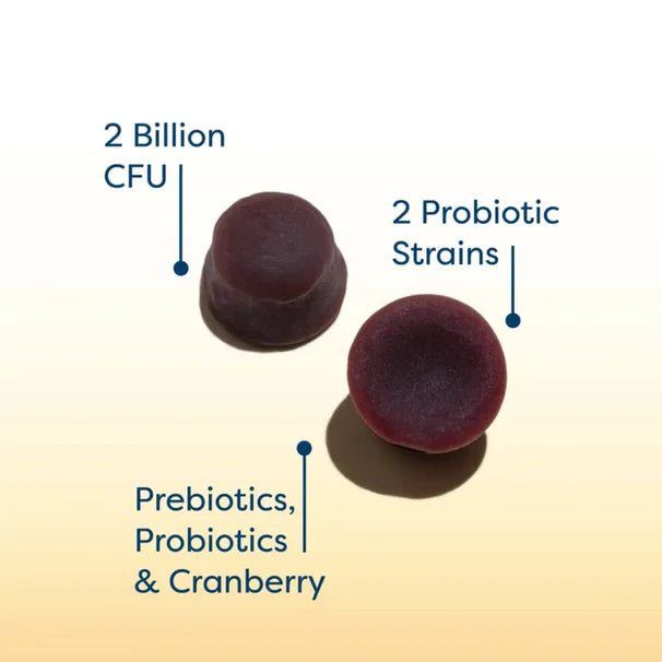 RenewLife Women's Care Prebiotic and Probiotic Gummies | 2 Billion CFU | Supports Digestive, Urinary Tract and Immune Health | B. Coagulans and B. Subtilis | 48 Gummies; Exp 07/2025