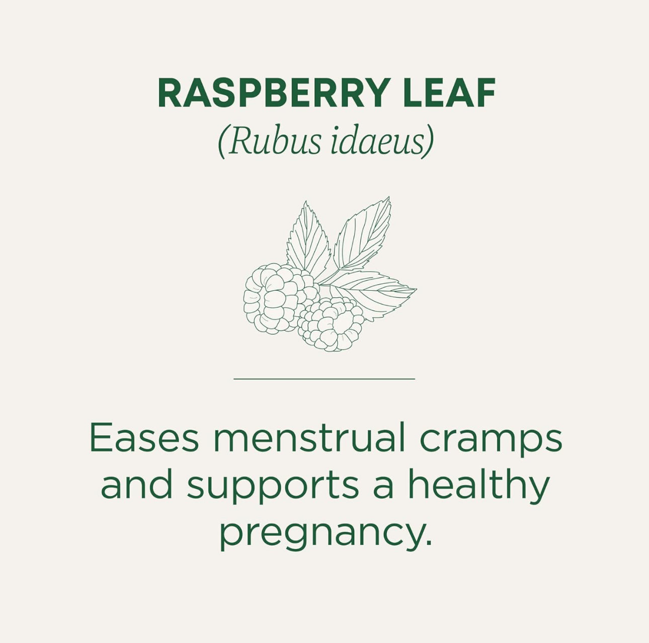 Traditional Medicinals Organic Raspberry Leaf Tea | Eases Menstrual Cramps & Supports a Healthy Pregnancy | 48 Tea Bags; Exp 03/2027