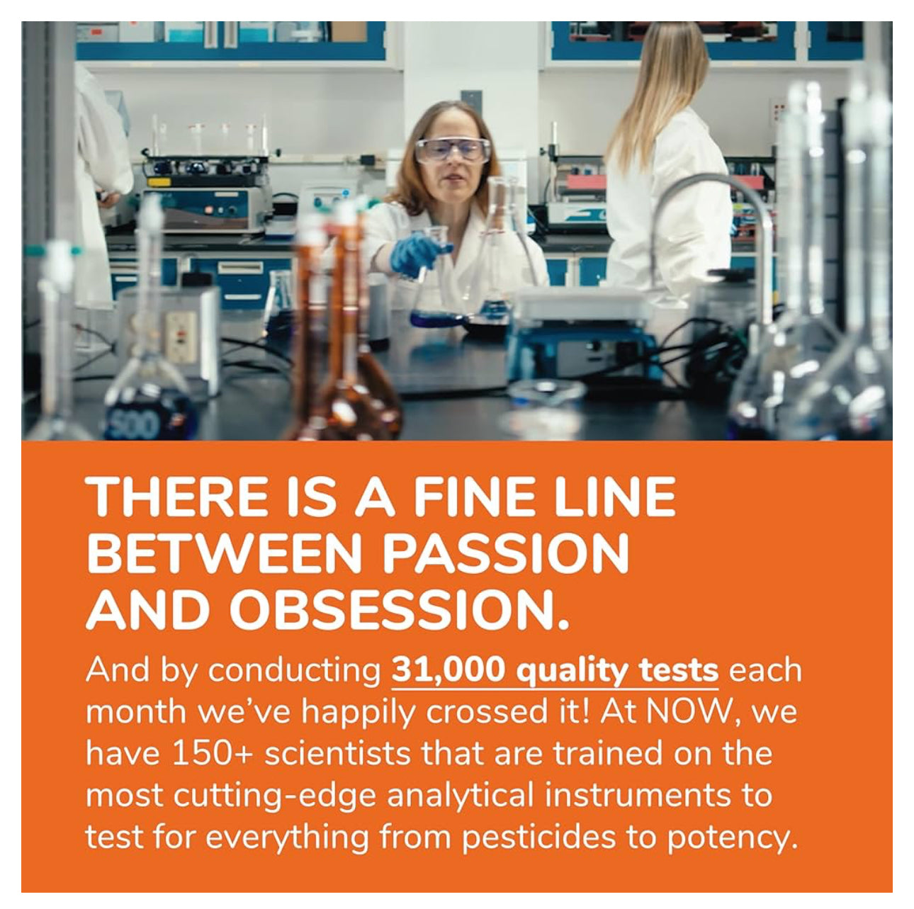 NOW Whole Psyllium Husks | Soluble Fibre | Natural Fiber Supplement | Appetite Management | Promotes Regularity & Helps Support Normal Bowel Elimination | 16oz/454g; Exp 06/2029