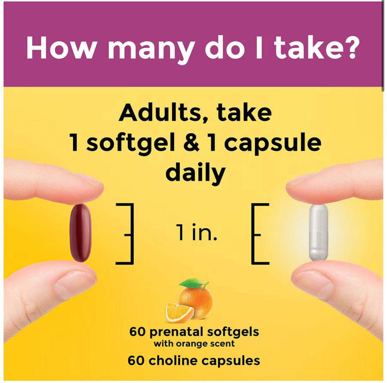 Nature Made Prenatal Multivitamin Softgels + Choline Capsules | Folic Acid + DHA + Choline | 60 Day Supply; Exp 08/2025