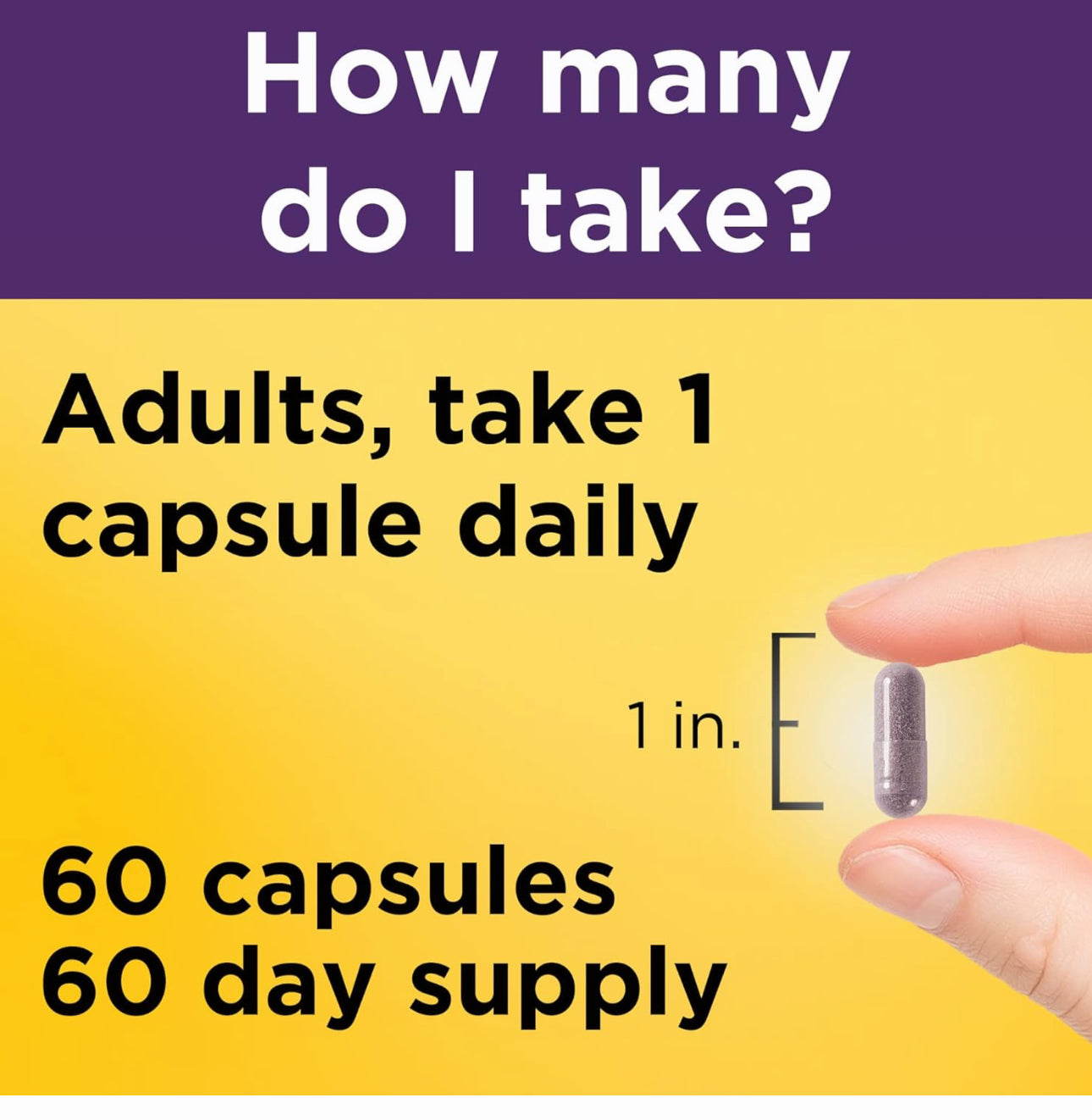 Nature Made Elderberry 400mg Extract with Vitamin C and Zinc | 60 Day Supply | Immune Support | 60 Capsules; Exp 01/2026