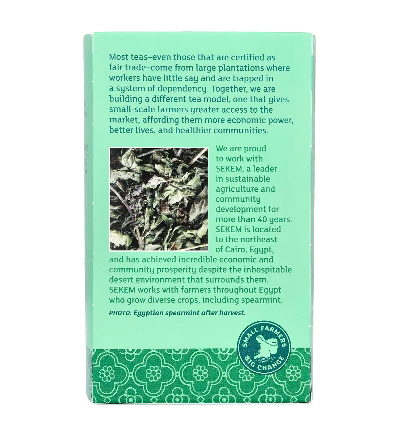Equal Exchange Organic Spearmint Tea | for Hormonal Imbalance and PCOS | 20 Tea Bags; Exp 08/2027