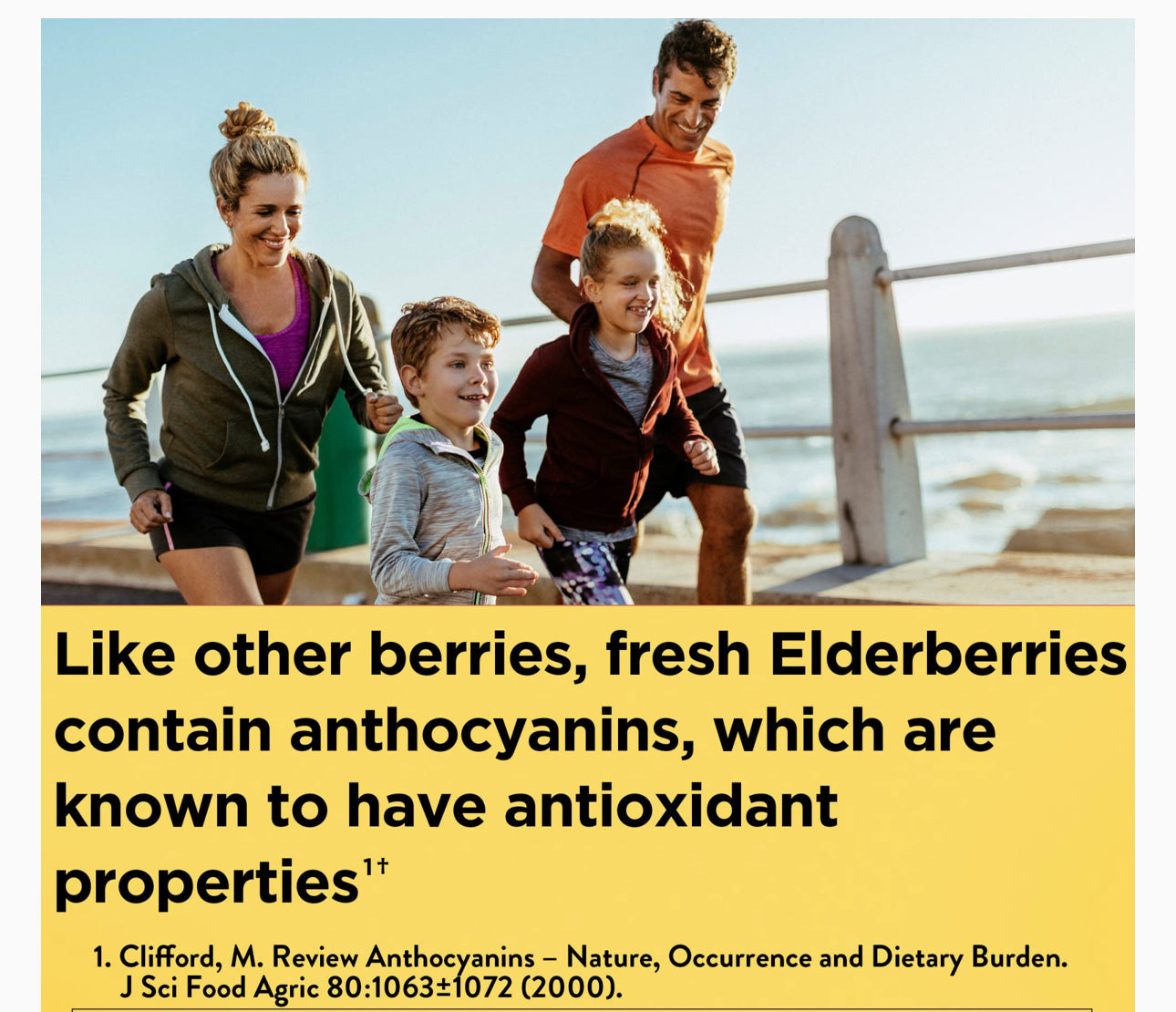 Nature Made Elderberry with Vitamin C and Zinc | 50 Day Supply | Boosts Immune Function | 100 Gummies; Exp 09/2026