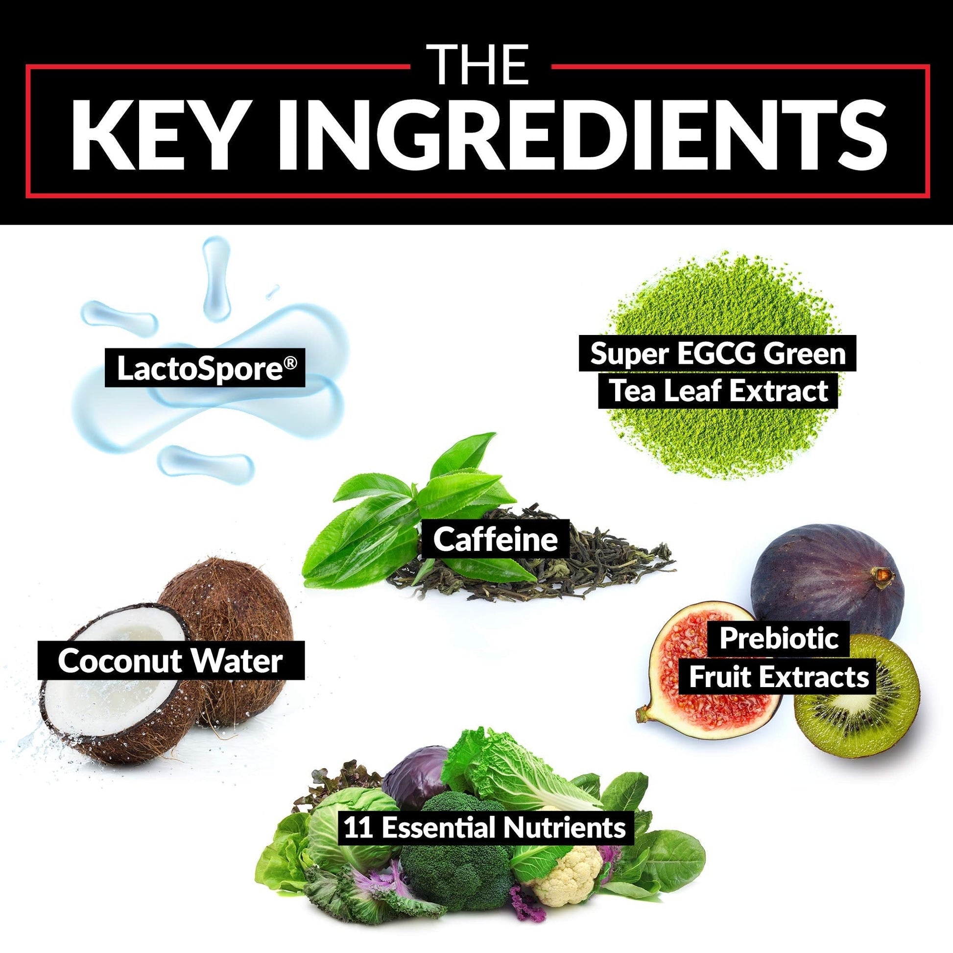 Force Factor ProbioSlim Weight Loss Essentials Probiotics 120 Capsules Exp 11/2026 - Ome's Beauty Mart