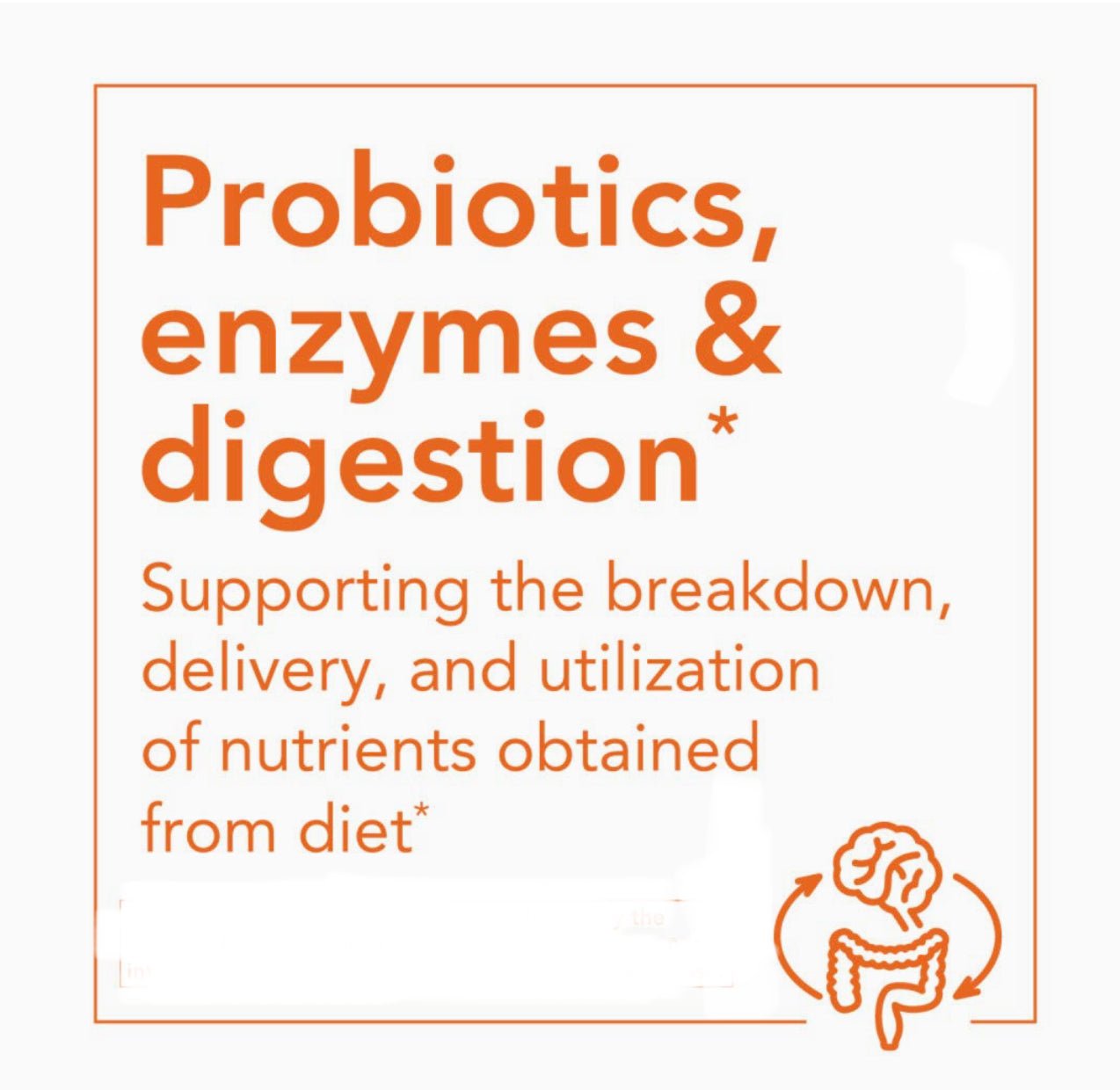 NOW Supplements, Inulin Prebiotic Pure Powder | Intestinal Support | 81 Servings | 8oz/227g Exp 10/2026 - Ome's Beauty Mart