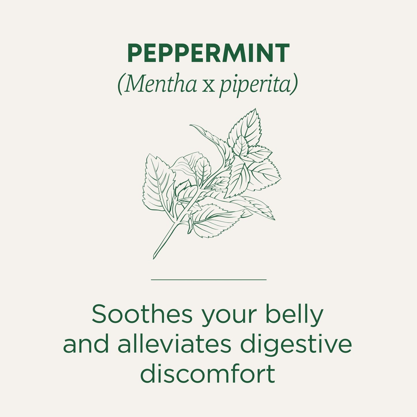 Traditional Medicinals Organic Peppermint Tea | Soothes Your Belly | Refreshing & Minty | 16 Tea Bags Exp 06/2027 - Ome's Beauty Mart
