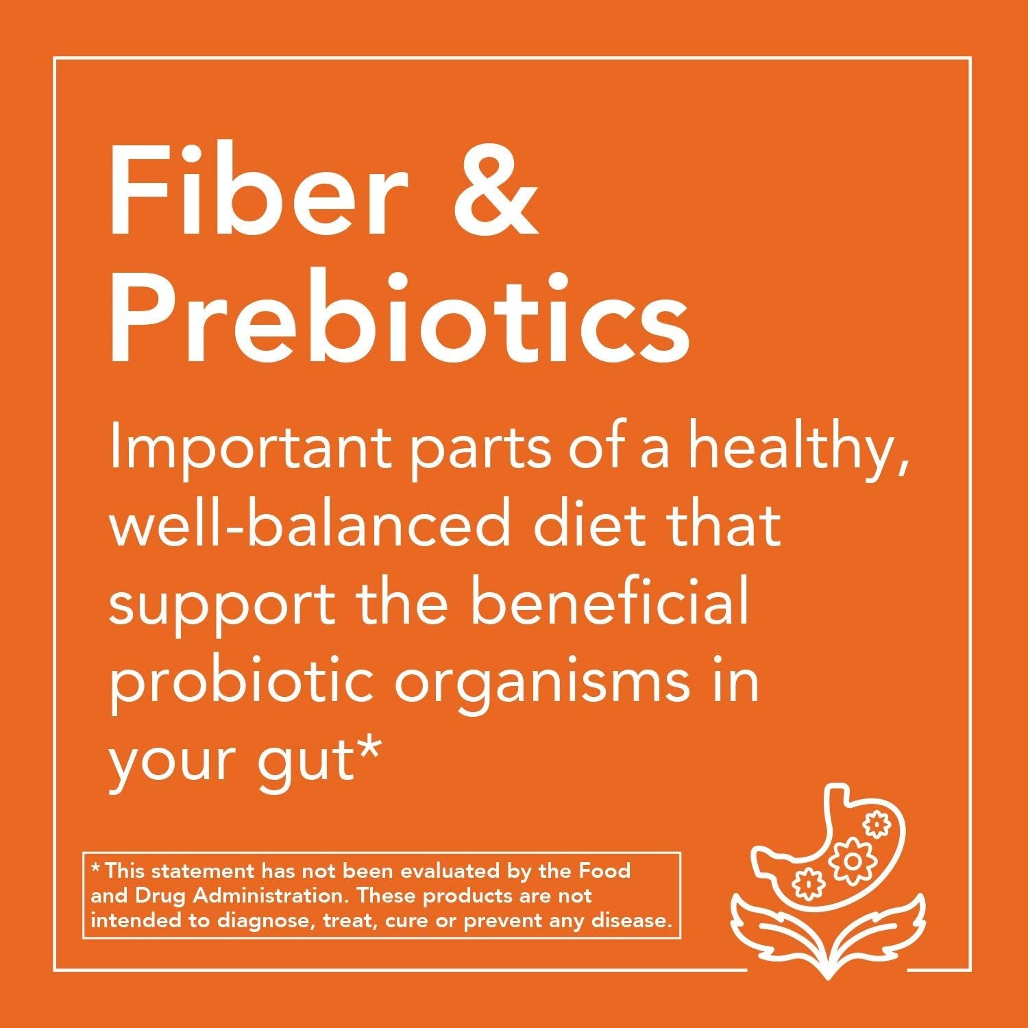 NOW Psyllium Husk Powder Soluble Fiber, 12oz/340g Exp 07/2026 - Ome's Beauty Mart