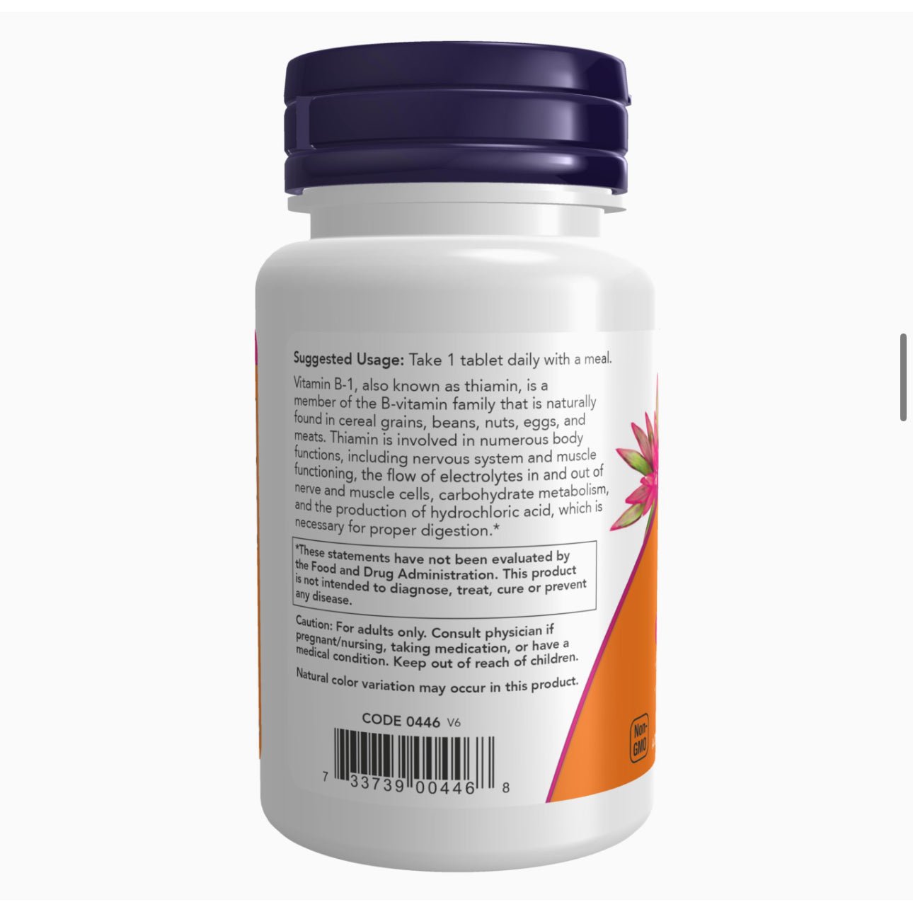 NOW Vitamin B-1 (Thiamin) 100 mg | Energy Production and Nervous System Health | 100 Tablets - Ome's Beauty Mart
