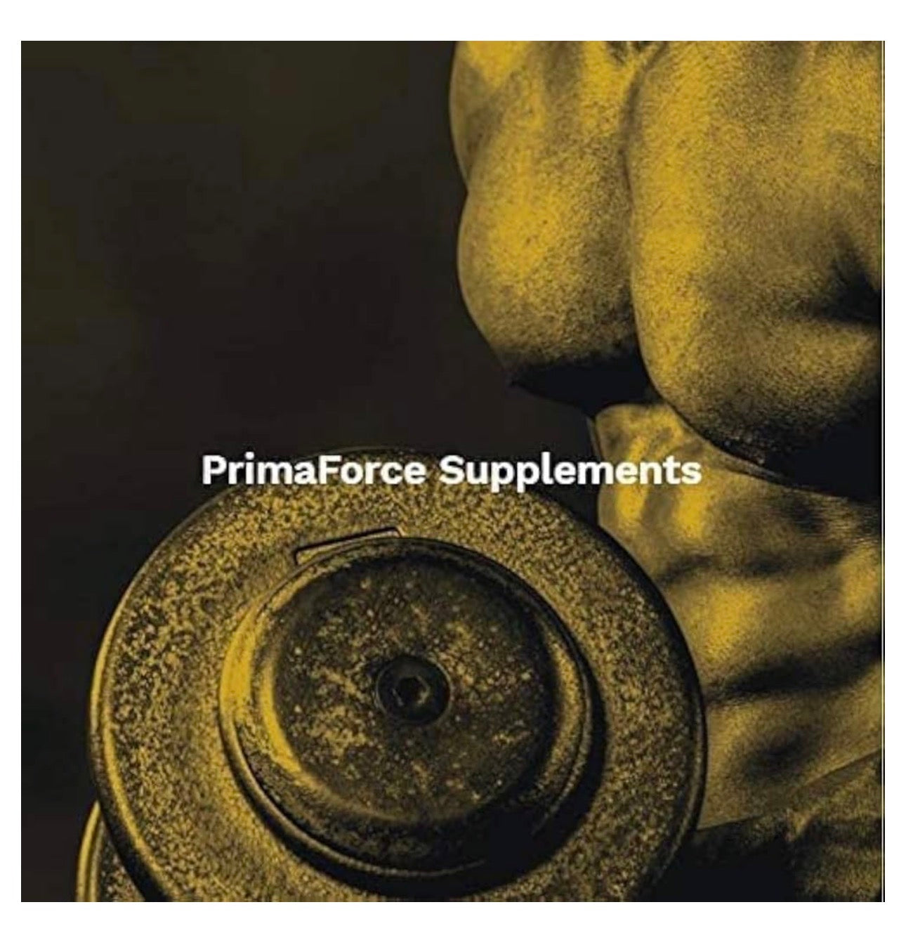 Primaforce Cissus Quadrangularis 1000mg | Supports Bone Strength & Healing | Eases Joint Pain & Stiffness | Helps Your Body Recover Faster After Workouts | Fights Inflammation from the Inside Out | 120 Capsules; Exp 07/2028