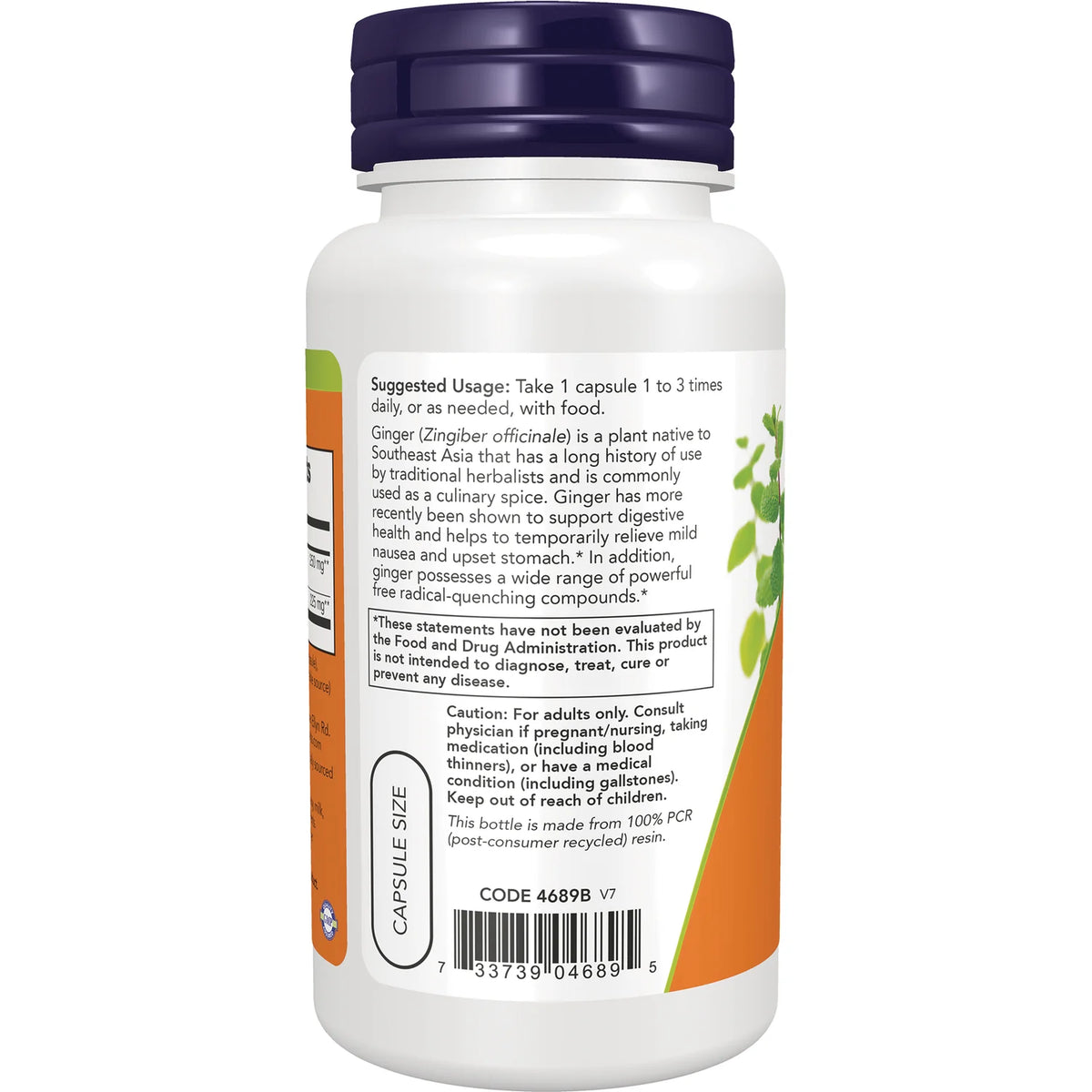 NOW Panax Ginseng 500mg | Adaptogen | 100 Capsules; Exp 05/2030