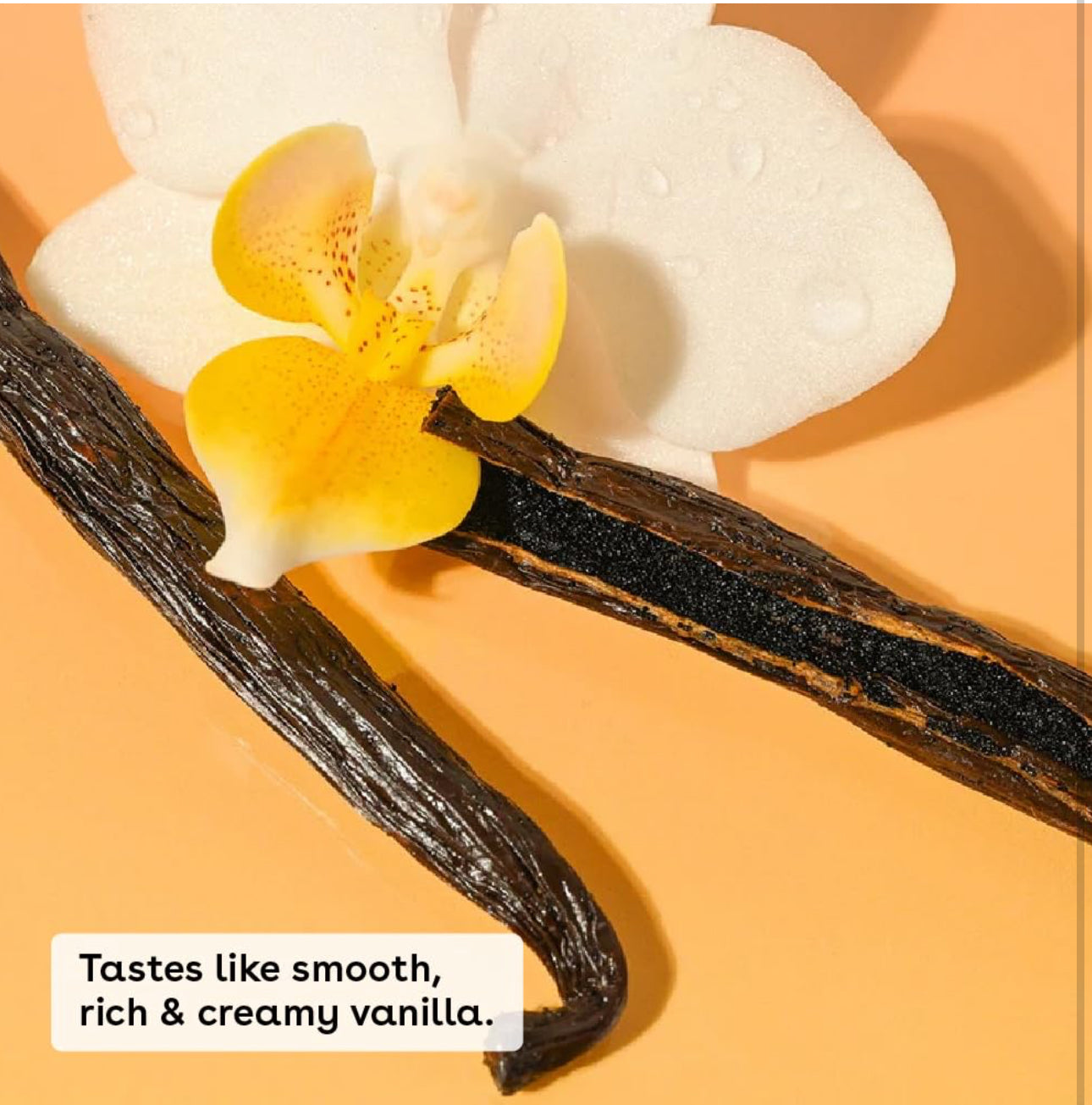 eos 100% Natural Lip Balm- Vanilla Bean Flavor | All-Day Moisture Lip Care | 2 x 0.14oz 2 Pack