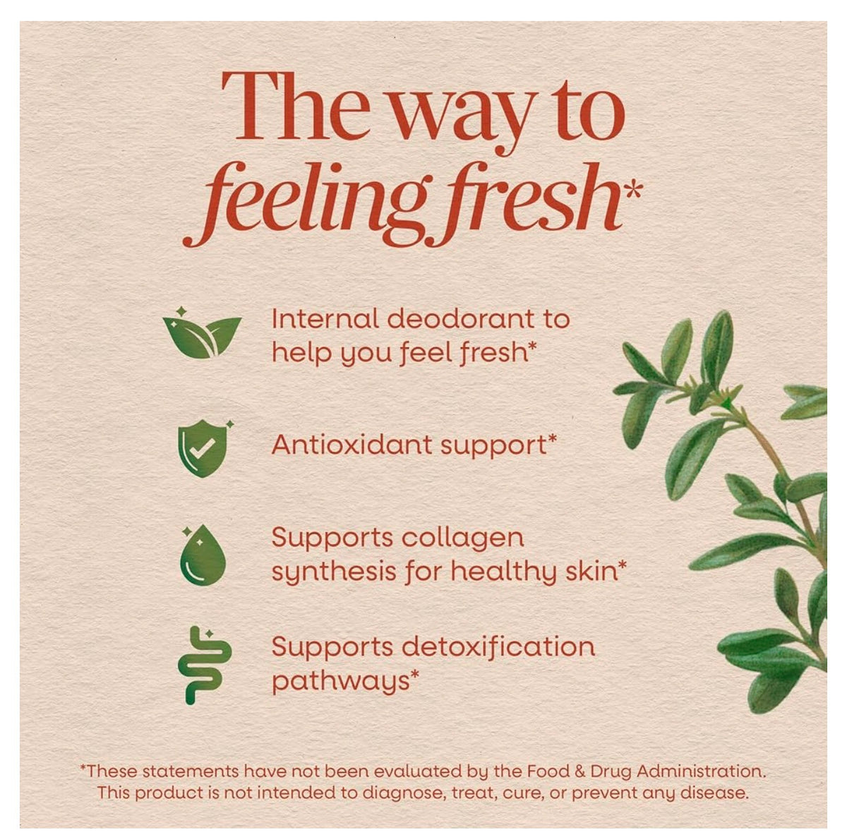 Nature’s Way Chlorofresh® Liquid Chlorophyll Supplement | Internal Deodorant | 𝗨𝗡𝗙𝗟𝗔𝗩𝗢𝗥𝗘𝗗 ~ 16oz/480ml; Exp 02/2028 *New Look