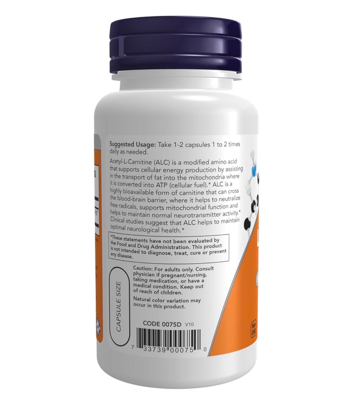 NOW Acetyl-L Carnitine 500mg | Suports Brain & Nerve Cell Function |50 Capsules; Exp 05/2030