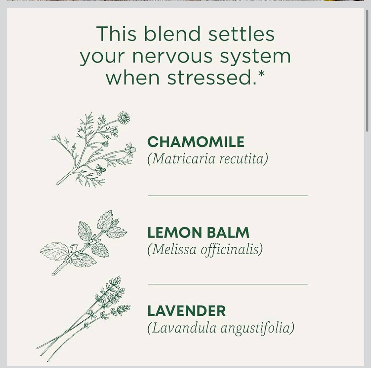 Traditional Medicinals Organic Chamomile & Lavender | Chamomile, Lemon Balm & Lavender Blend | For Stress Relief and Relaxation | 16 Tea Bags; Exp 02/2029
