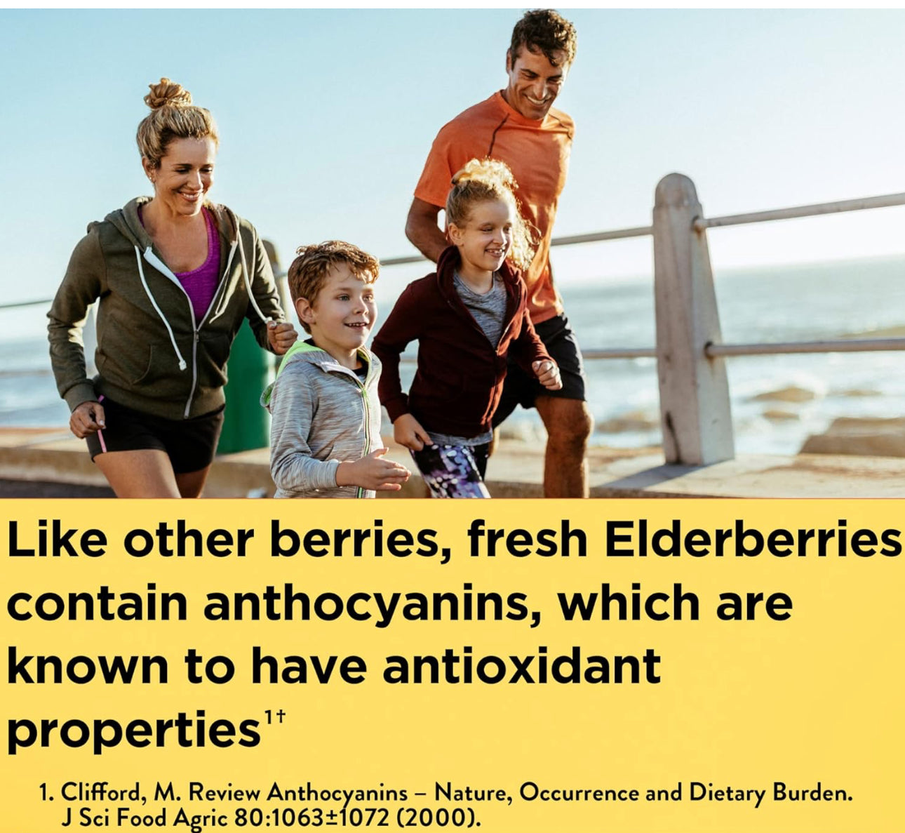 Nature Made Elderberry 400mg Extract with Vitamin C and Zinc | 60 Day Supply | Immune Support | 60 Capsules; Exp 01/2026