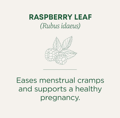Traditional Medicinals Organic Raspberry Leaf Tea | Eases Menstrual Cramps & Supports a Healthy Pregnancy | 48 Tea Bags; Exp 03/2027