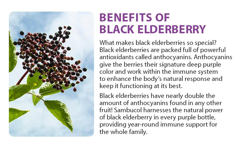 Sambucol Black Elderberry Throat Lozenge - with Honey, Vitamin C & Zinc, Elderberry Lozenges | for Sore Throat & Cough | Soothes Scratchy Throat | 20 Soft Lozenges Exp 09/2026