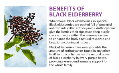 Sambucol Black Elderberry Throat Lozenge - with Honey, Vitamin C & Zinc, Elderberry Lozenges | for Sore Throat & Cough | Soothes Scratchy Throat | 20 Soft Lozenges Exp 09/2026