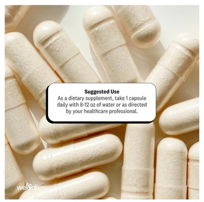 Wellah Hyaluronic Acid 100mg | Supports Healthy Connective Tissue & Joints | Promotes Youthful Healthy Skin | 60/120 Servings | 120 Capsules; Exp 12/2028