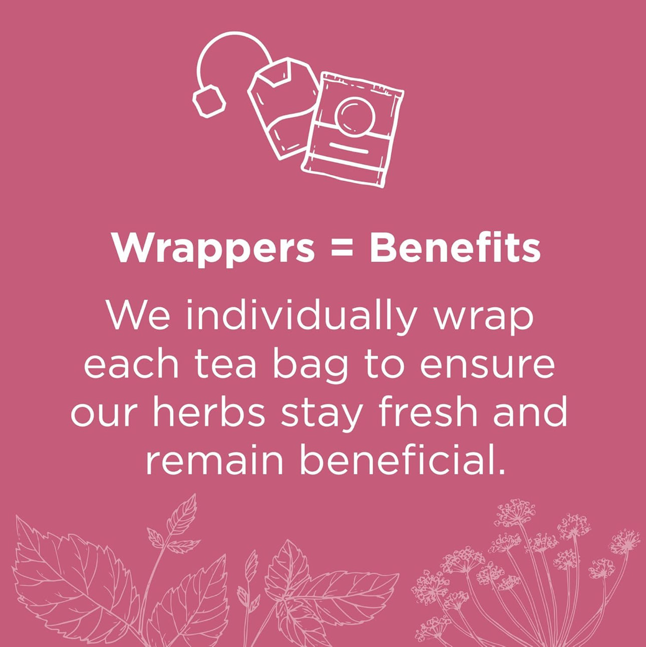 Traditional Medicinals Organic Raspberry Leaf Tea | Eases Menstrual Cramps & Supports a Healthy Pregnancy | 48 Tea Bags; Exp 03/2027