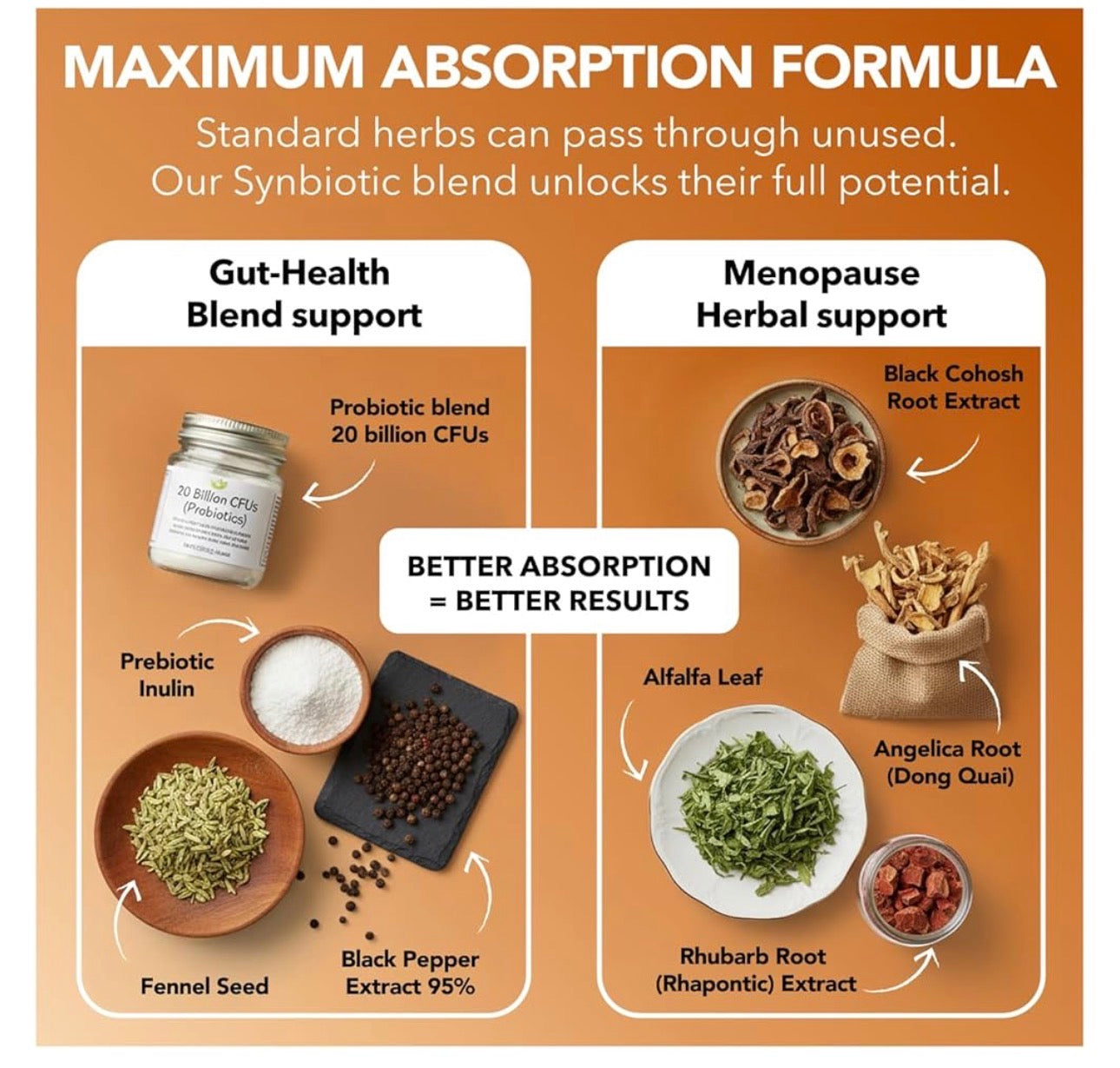 Intimate Rose Menopause Synbiotic with Black Cohosh, Dong Quai, Rhubarb Root, Prebiotic & Probiotic 20 Billion CFU | Complete Menopause Support | Helps Ease Hot Flashes, Night Sweats, Restful Sleep | 60 Capsules; Exp❗️ UNCLEAR 10/2027 👉🏽Check last pic