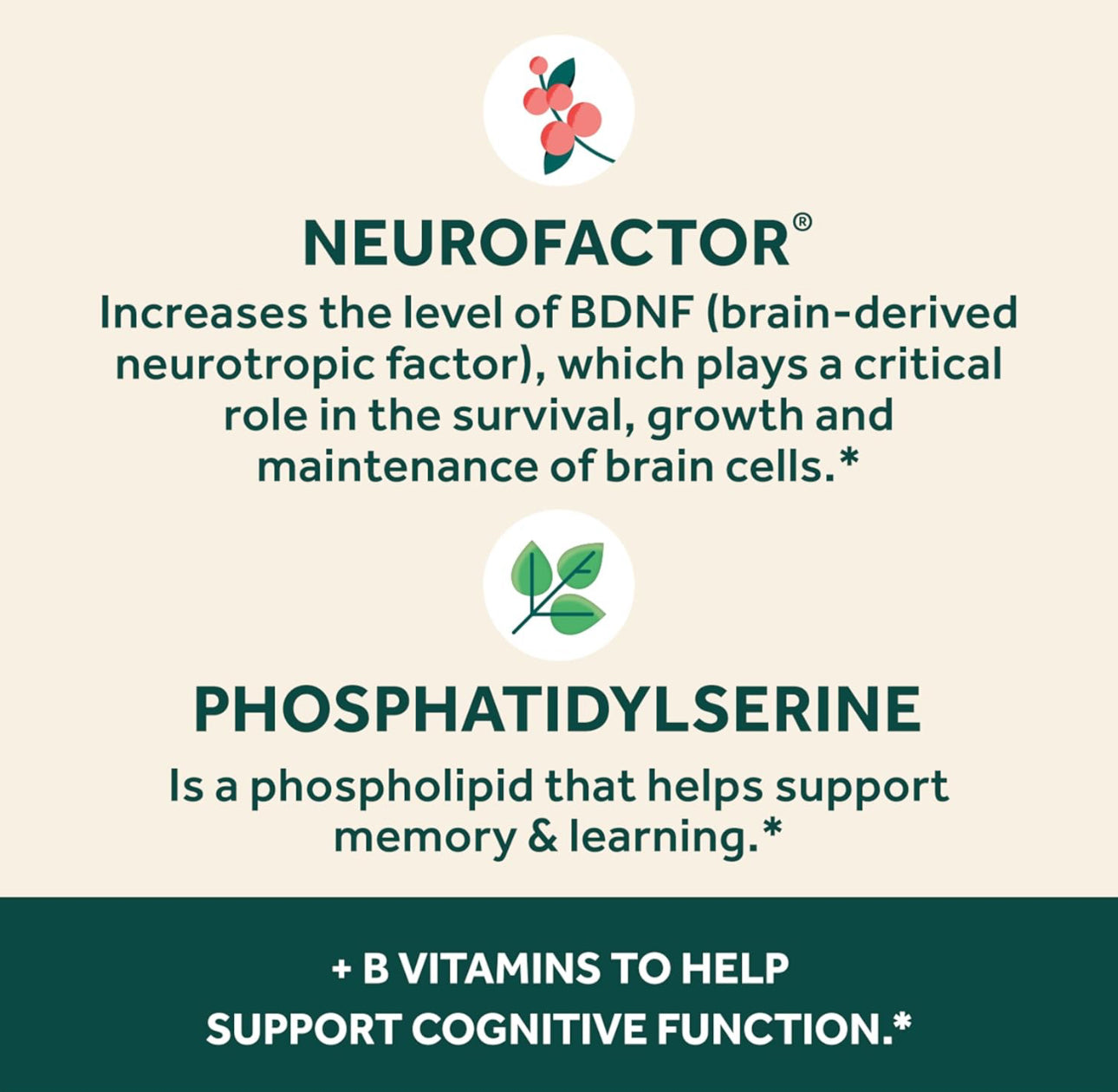 Schiff’s NEURIVA Plus | Brain Supplement for Memory and Focus with Vitamins B6, B12, Phosphatidylserine | Nootropics for Concentration for Mental Clarity, Cognitive Enhancement | 30 Capsules; Exp 07/2026