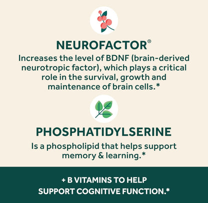 Schiff’s NEURIVA Plus | Brain Supplement for Memory and Focus with Vitamins B6, B12, Phosphatidylserine | Nootropics for Concentration for Mental Clarity, Cognitive Enhancement | 30 Capsules; Exp 07/2026