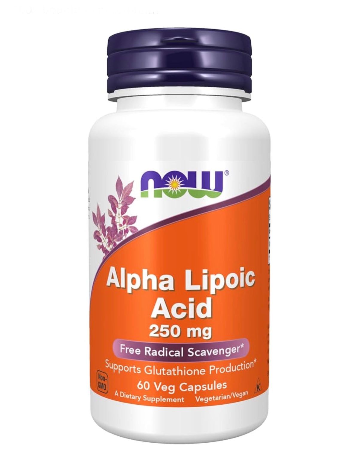 NOW Alpha Lipoic Acid 250mg | Supports Glutathione Production | Free Radical Scavenger | 60 Capsules; Exp 06/2030