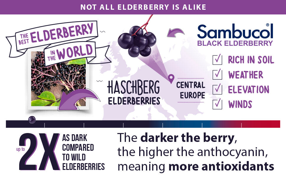 Sambucol Black Elderberry Throat Lozenge - with Honey, Vitamin C & Zinc, Elderberry Lozenges | for Sore Throat & Cough | Soothes Scratchy Throat | 20 Soft Lozenges Exp 09/2026