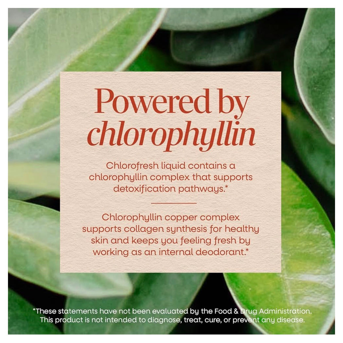 Nature’s Way Chlorofresh® Liquid Chlorophyll Supplement | Internal Deodorant | 𝗨𝗡𝗙𝗟𝗔𝗩𝗢𝗥𝗘𝗗 ~ 16oz/480ml; Exp 02/2028 *New Look