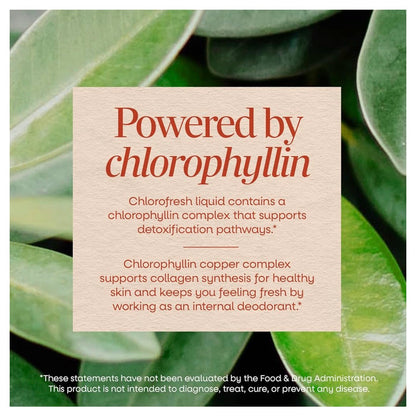 Nature’s Way Chlorofresh® Liquid Chlorophyll Supplement | Internal Deodorant | 𝗨𝗡𝗙𝗟𝗔𝗩𝗢𝗥𝗘𝗗 ~ 16oz/480ml; Exp 02/2028 *New Look