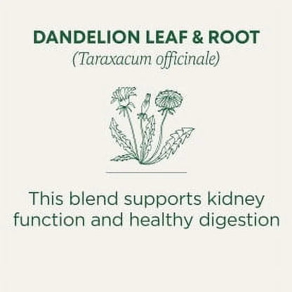 Traditional Medicinals Organic Dandelion Leaf & Root Tea | For Detox  | Supports Kidney Function & Healthy Digestion | 16 Tea bags Exp 09/2027