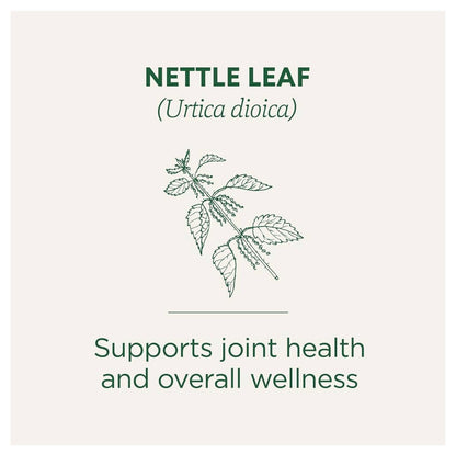 Traditional Medicinals Organic Nettle Leaf Tea | Supports Joint Health & Overall Wellness | 16 Tea Bags; Exp 12/2028