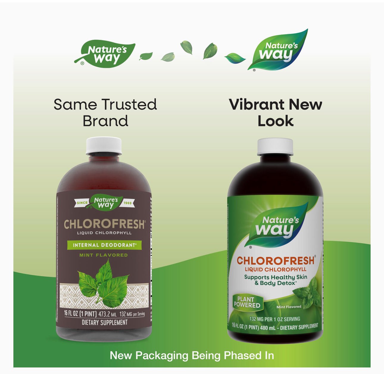 Chlorofresh® Liquid Chlorophyll Supplement | Internal Deodorant |16oz Exp 31/10/2025 - Ome's Beauty Mart