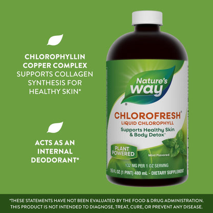 Chlorofresh® Liquid Chlorophyll Supplement | Internal Deodorant |16oz Exp 31/10/2025 - Ome's Beauty Mart