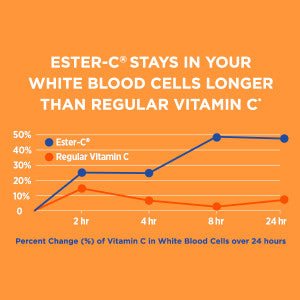 Ester - C Vitamin C 1,000 mg | 24 Hour Immune Support | Stomach - friendly | 90 Coated Tablets Exp 08/2027 - Ome's Beauty Mart