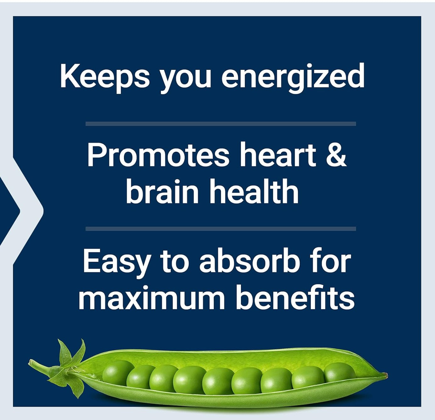 Life Extension BioActive Complete B-Complex  | with Inositol (Vitamin B8) & PABA | Heart, Brain and Nerve Support | 60 Vegetarian Capsules; Exp 11/2027
