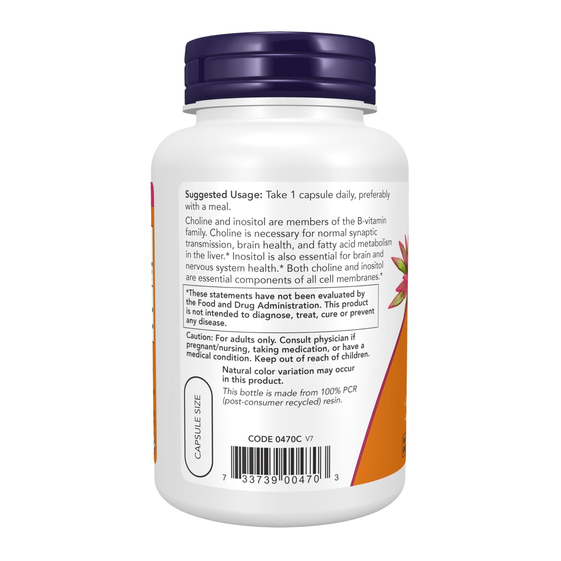 NOW Choline & Inositol 500mg | Supports Healthy Nerve Transmission & Brain Health | Assists in Fatty Acid Metabolism | 100 Veg Capsules Exp - Ome's Beauty Mart