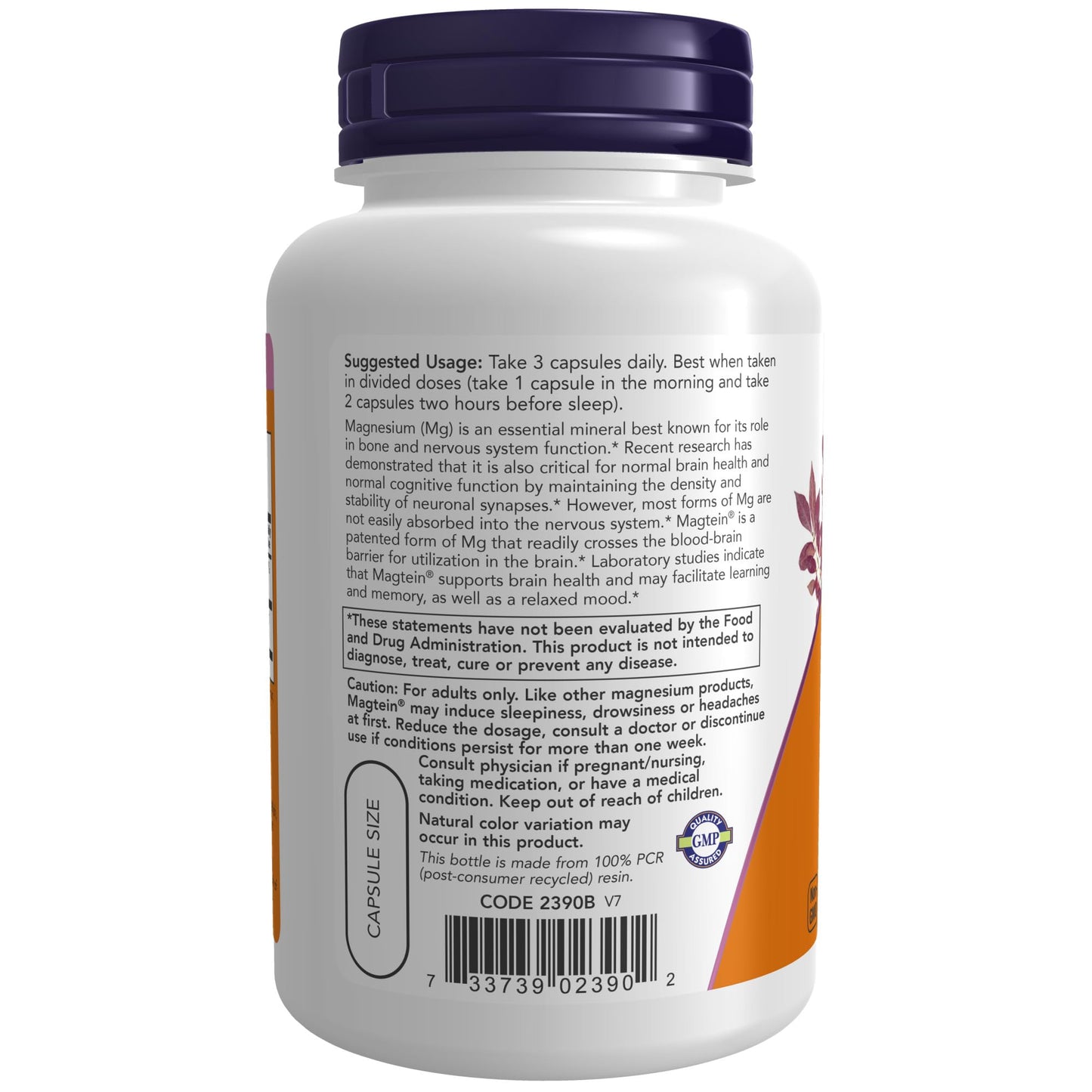 NOW Magtein™ Magnesium L - Threonate | Cognitive Support | Promotes Brain Health, Supports Memory and Learning | 90 Veg Capsules Exp - Ome's Beauty Mart