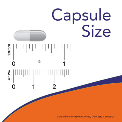 NOW Serrapeptase 60,000 SPU | 60 Veg Capsules - Ome's Beauty Mart